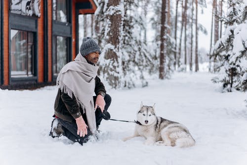 Prévenir les morsures de chien : comment s’y prendre efficacement ?